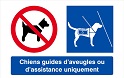 chiens