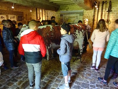 Visite du musée - CD50