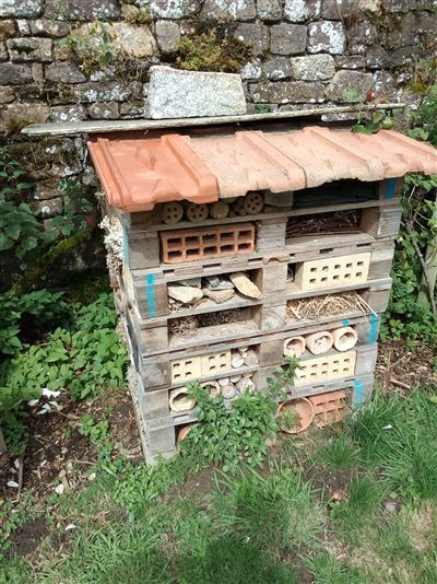 Hôtel à insectes