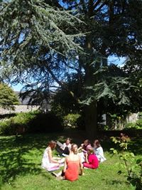 Visite-atelier "Arbres" © Cd50