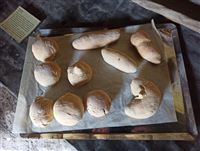 Petits pains cuits au feu de bois - CD50 FMC
