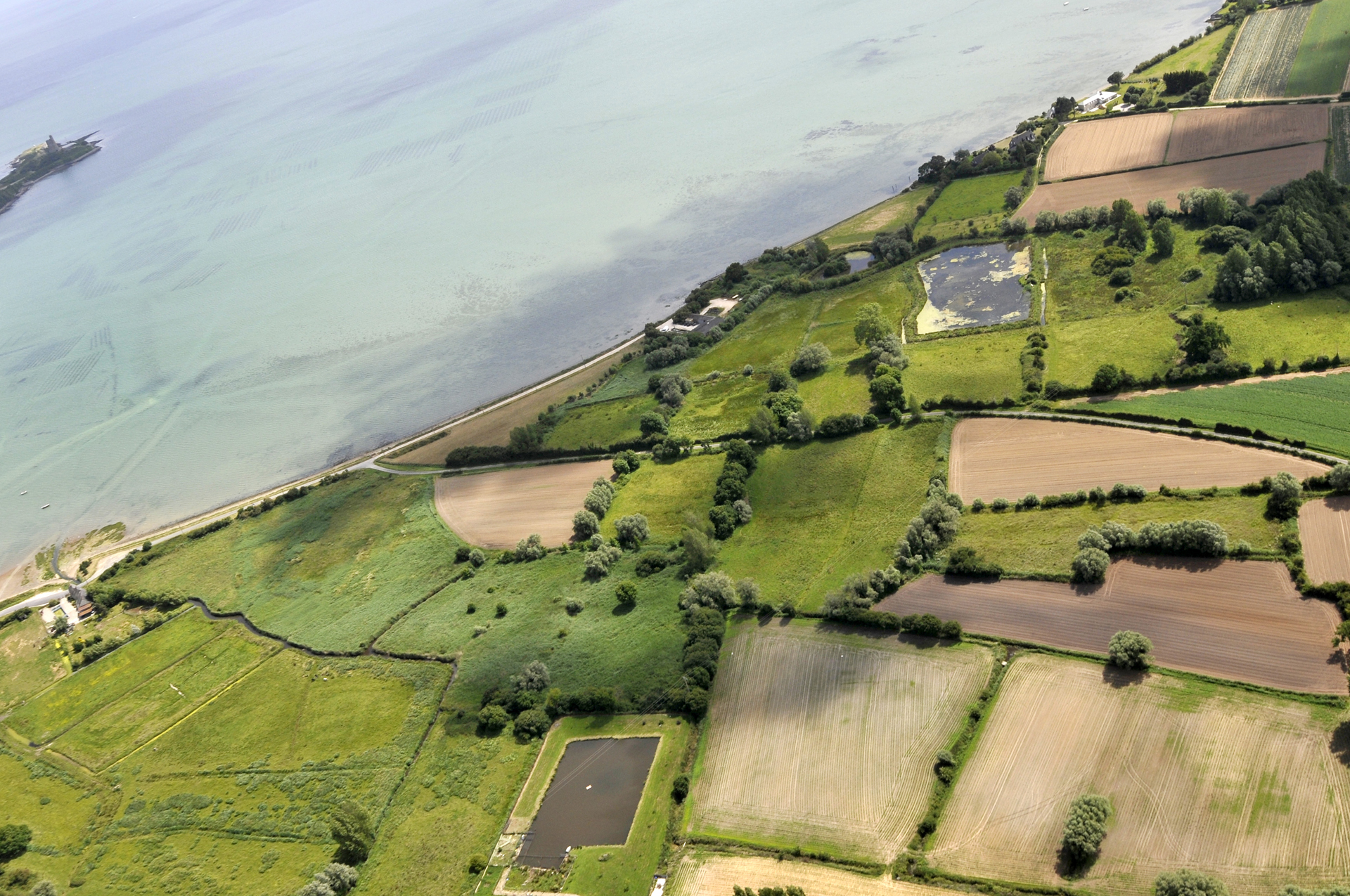 Marais de l'anse du cul du loup Manche.fr