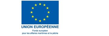 Logo Feamp