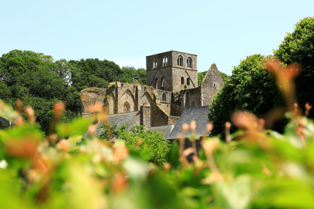 Vue de l'abbaye de Hambye